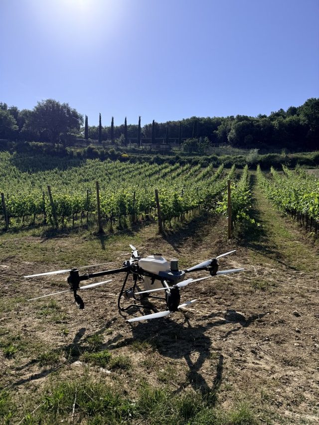 Drone in de wijngaard