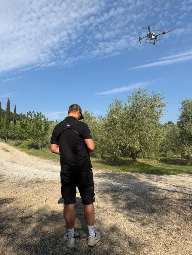 Drone sopra un oliveto toscano